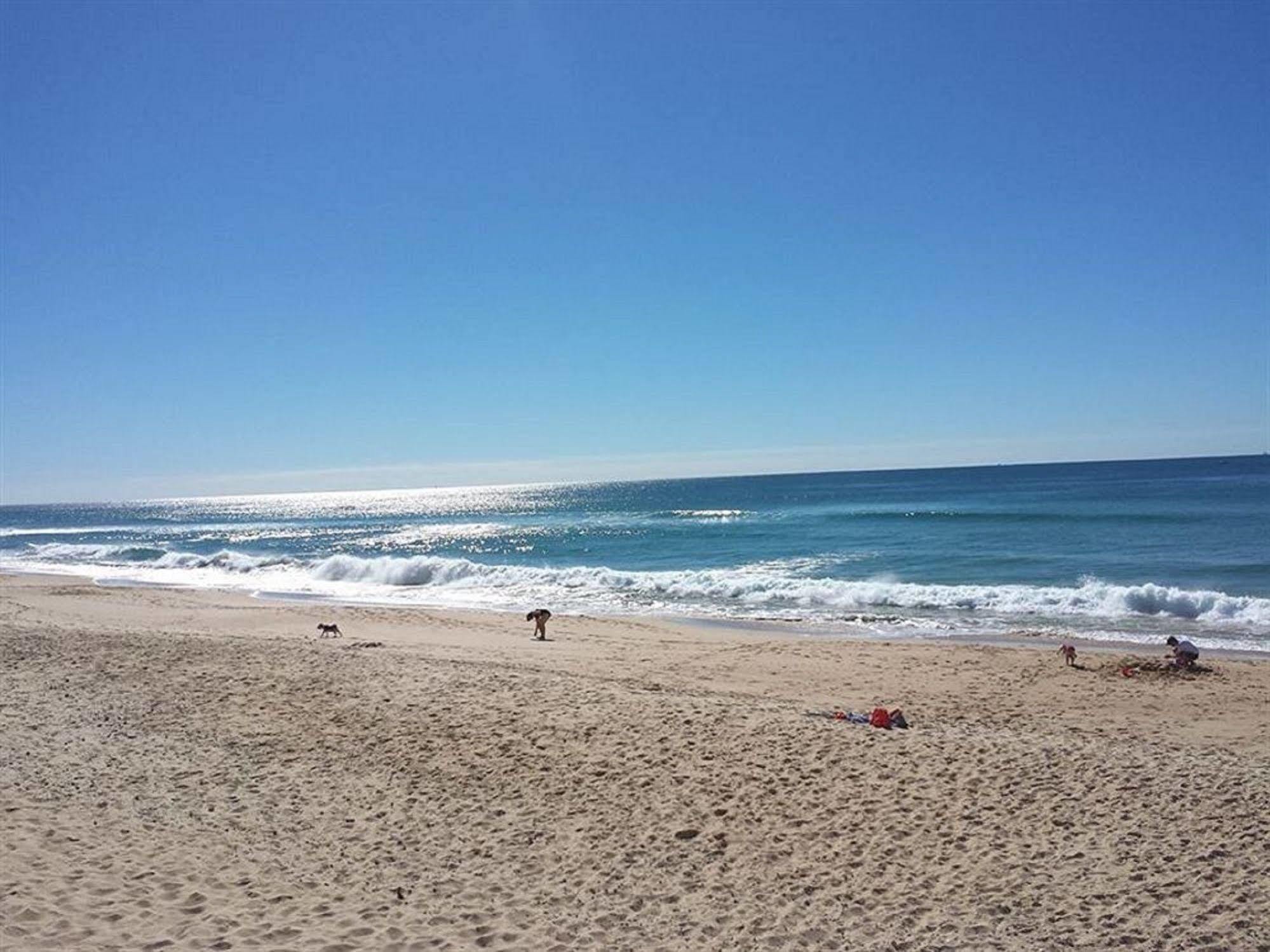 Surfside On The Beach Buddina Bagian luar foto